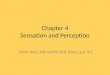 Chapter 4 Sensation and Perception