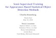 Semi-Supervised Training for Appearance-Based Statistical Object Detection Methods