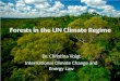 Forests  in  the  UN  Climate  Regime