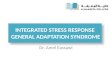 Integrated Stress Response  General adaptation syndrome