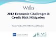 2012 Economic Challenges & Credit Risk Mitigation