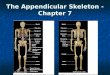 The Appendicular Skeleton - Chapter 7