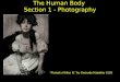The Human Body  Section 1 - Photography