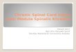 Chronic Spinal Cord Injury  (Lesi Medula Spinalis Khronis)