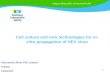 Cell culture and new technologies for  in-vitro  propagation of HEV virus