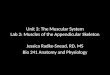 Unit 3: The Muscular System Lab 2: Muscles of the Appendicular Skeleton