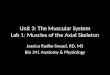 Unit 3: The Muscular System Lab 1: Muscles of the Axial Skeleton