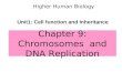 Chapter 9: Chromosomes  and DNA Replication