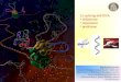 Lo splicing dell’RNA  definizione  importanza  predizione