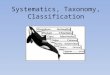 Systematics , Taxonomy, Classification