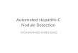Automated Hepatitis-C Nodule Detection