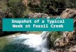 Snapshot of a Typical Week at Fossil Creek