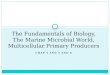 The Fundamentals of Biology, The  Marine Microbial  World,  Multicellular  Primary Producers