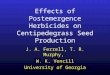 Effects of Postemergence Herbicides on Centipedegrass Seed Production
