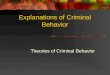 Explanations of Criminal Behavior