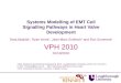 Systems Modelling of EMT Cell Signalling Pathways in Heart Valve Development