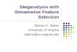 Steganalysis with Streamwise Feature Selection