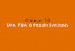 Chapter 10 DNA, RNA, & Protein Synthesis
