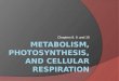 Metabolism, Photosynthesis, and Cellular Respiration