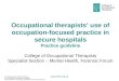 Occupational therapists’ use of occupation-focused practice in secure hospitals Practice guideline