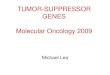 TUMOR-SUPPRESSOR GENES Molecular Oncology 2009