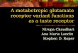 A metabotropic glutamate receptor variant functions as a taste receptor