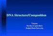 DNA Structure/Composition