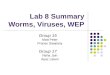 Lab 8 Summary Worms, Viruses, WEP