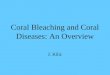 Coral Bleaching and Coral Diseases: An Overview