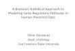 A Bayesian Statistical Approach to Modeling Gene Regulatory Pathways in Human Placental Data