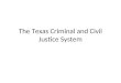 The Texas Criminal and Civil Justice System