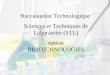 Baccalauréat Technologique  Sciences et Techniques de Laboratoire (STL) option BIOTECHNOLOGIES