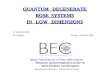 QUANTUM   DEGENERATE BOSE  SYSTEMS IN   LOW   DIMENSIONS