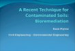 A Recent Technique for Contaminated Soils: Bioremediation