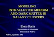 MODELING    INTRACLUSTER MEDIUM AND DARK MATTER IN GALAXY CLUSTERS