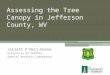 Assessing the Tree Canopy in Jefferson County, WV