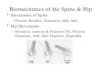 Biomechanics of the Spine & Hip