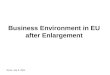 Business Environment in EU after Enlargement