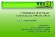 TECNOLOGICO DE ESTUDIOS  SUPERIORES DE TIANGUISTENCO