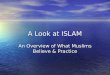 A Look at ISLAM