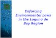 Enforcing Environmental Laws in the Laguna de Bay Region