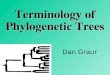 Terminology of Phylogenetic Trees