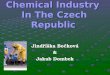 Chemical  I ndustry  I n  The  Czech Republic