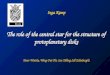 Inga Kamp The role of the central star for the structure of protoplanetary disks