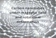 Carbon  nanotubes under magnetic field and rotational deformation