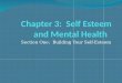Chapter 3:  Self Esteem and Mental Health