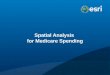 Spatial Analysis  for Medicare Spending