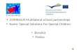 COMENIUS Multilateral school partnerships Name: Special Solutions For Special Children Slovakia
