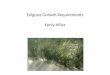 Eelgrass Growth Requirements Kenly Hiller