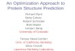 An Optimization Approach to Protein Structure Prediction